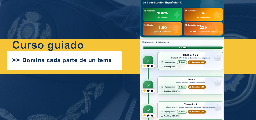 Test por temas, subtemas y curso guiado