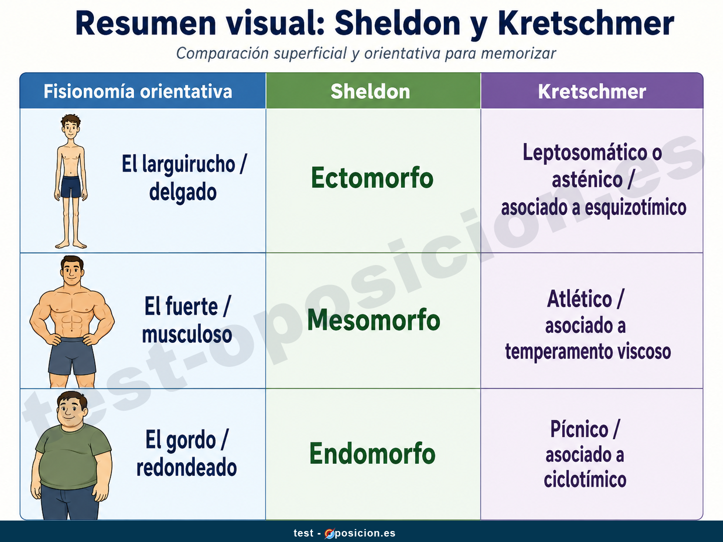 sheldon-kretschmer-ectomorfo-mesomorfo-endomorfo